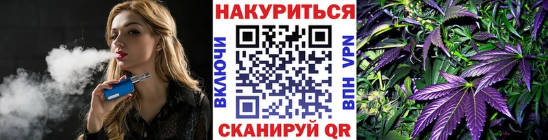Купить закладки  Кедровый  Канабис конопля 